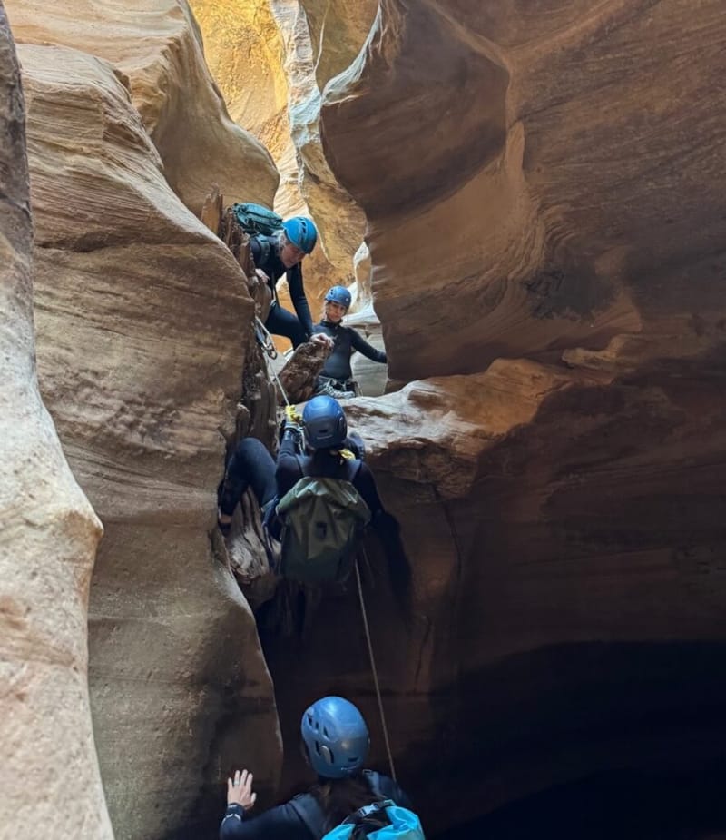 Zion7-885x1024.jpeg
